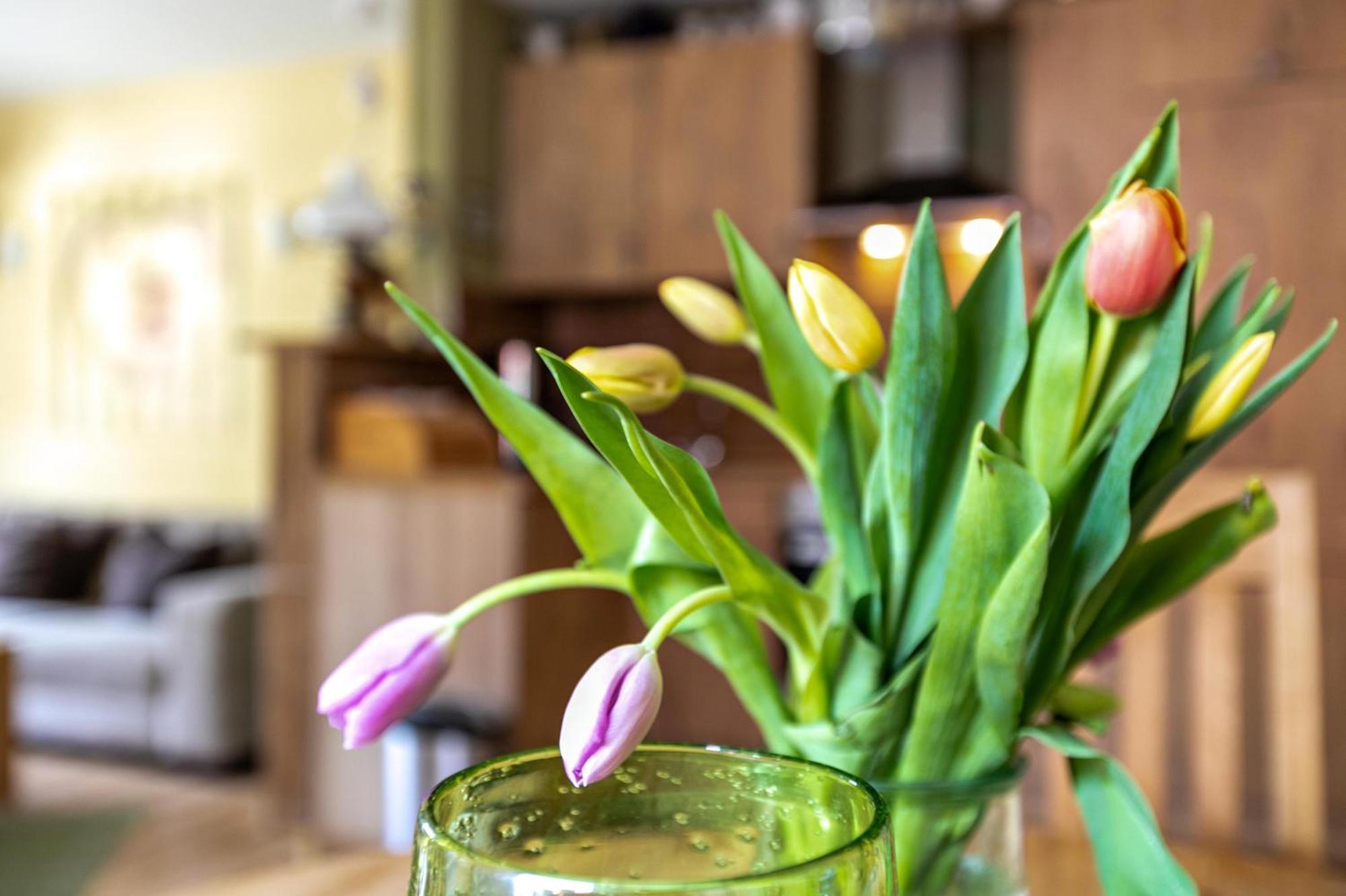 Ferienwohnung Kaffeemuehle フレンスブルク エクステリア 写真
