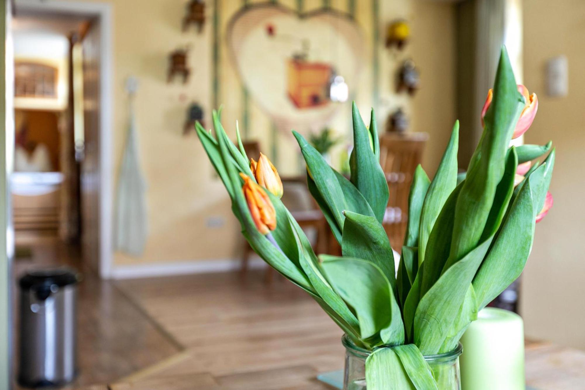 Ferienwohnung Kaffeemuehle フレンスブルク エクステリア 写真